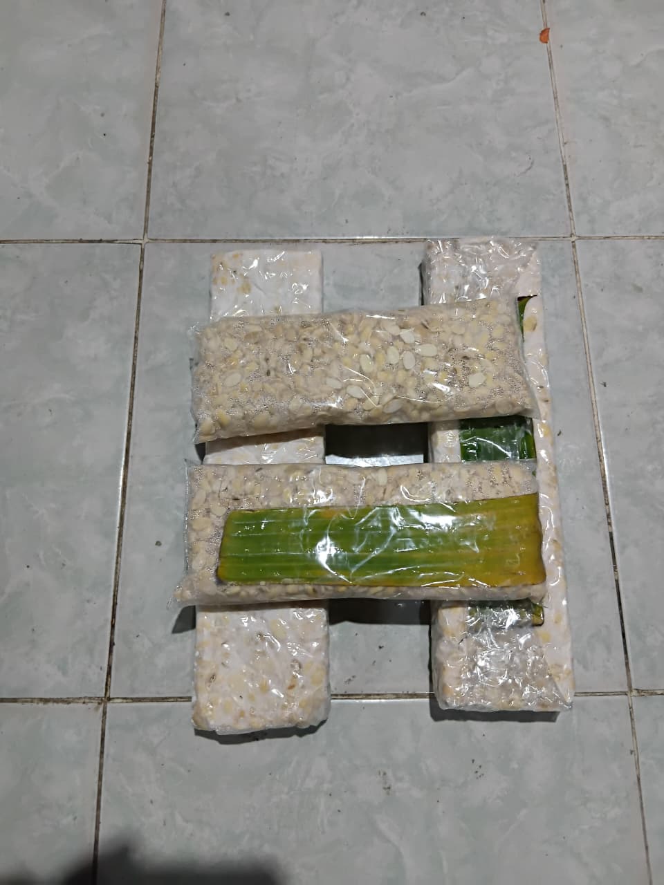 Foto industri tempe kedelai